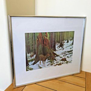 Clarence Tillenius Framed Art Print Blacktail Deer Coastal Forest Vintage 1966